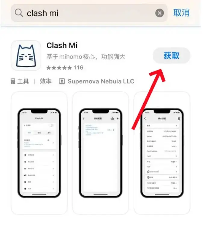 Apple ID 登录界面