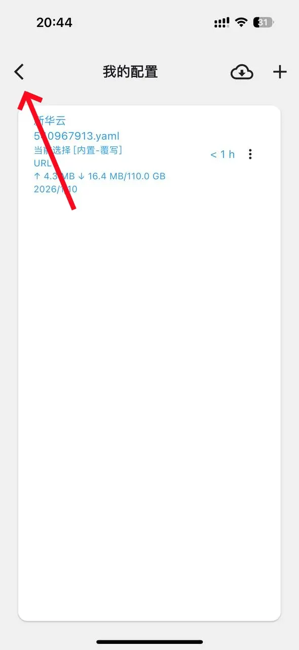 Apple ID 登录界面